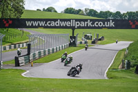 cadwell-no-limits-trackday;cadwell-park;cadwell-park-photographs;cadwell-trackday-photographs;enduro-digital-images;event-digital-images;eventdigitalimages;no-limits-trackdays;peter-wileman-photography;racing-digital-images;trackday-digital-images;trackday-photos